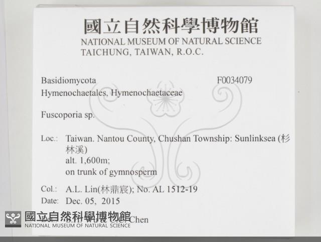 登錄號:F0034079藏品圖，第2張