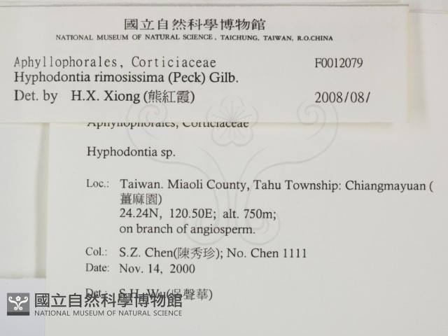登錄號:F0012079藏品圖，第2張