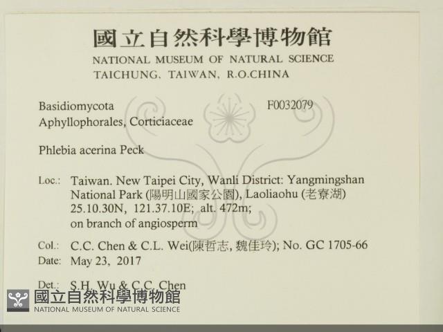 登錄號:F0032079藏品圖，第2張