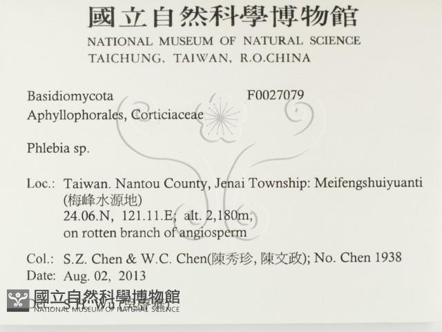 射脈菌屬藏品圖，第2張