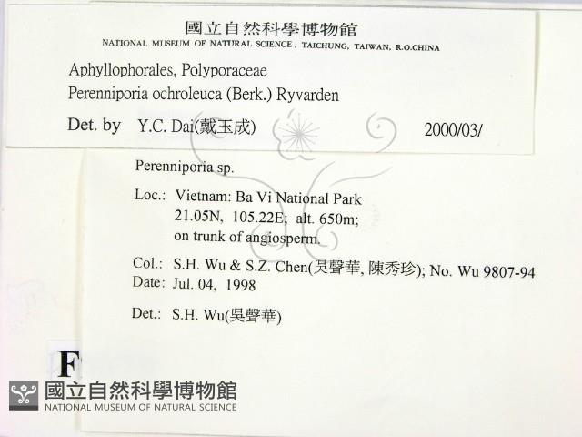 登錄號:F0009079藏品圖，第2張