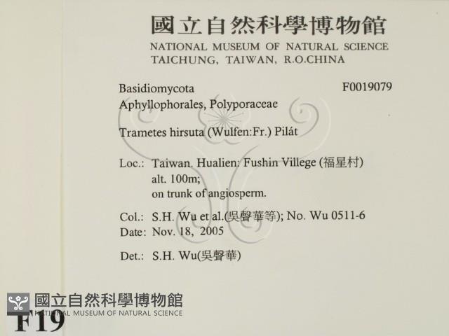 館號:F0019079藏品圖，第2張