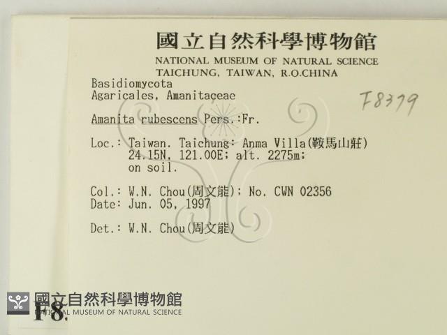 登錄號:F0008379藏品圖，第2張