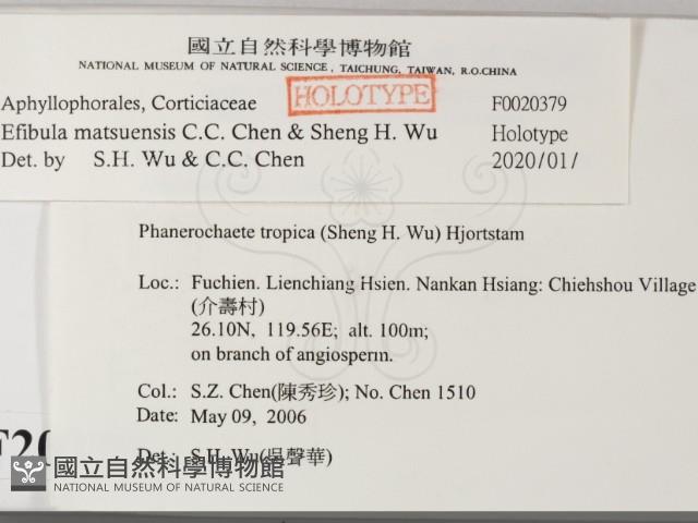 登錄號:F0020379藏品圖，第2張