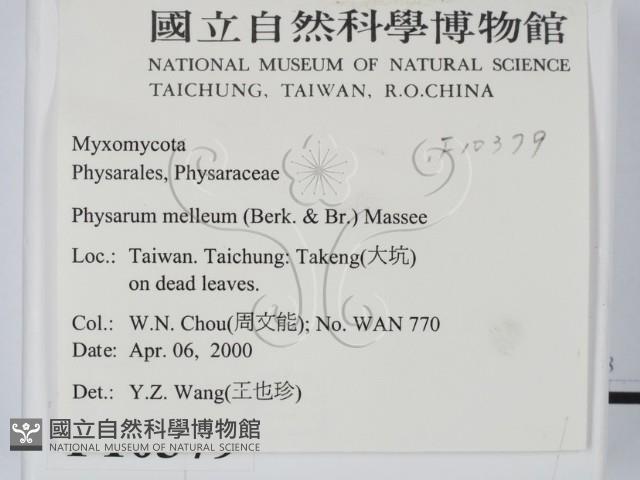 登錄號:F0010379藏品圖，第2張