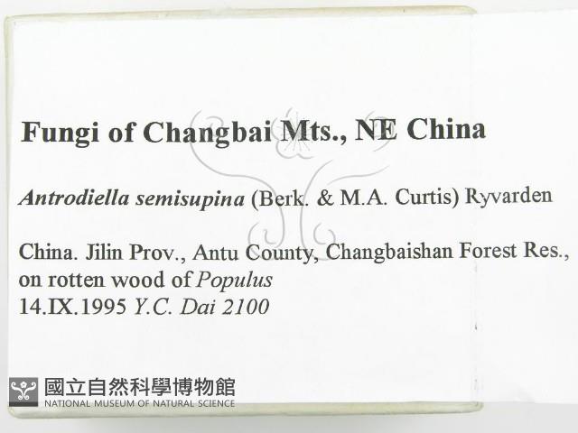 登錄號:F0006379藏品圖，第2張