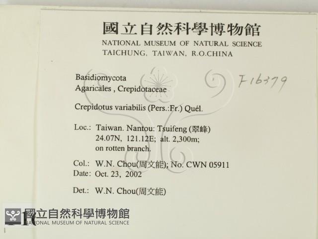 登錄號:F0016379藏品圖，第2張