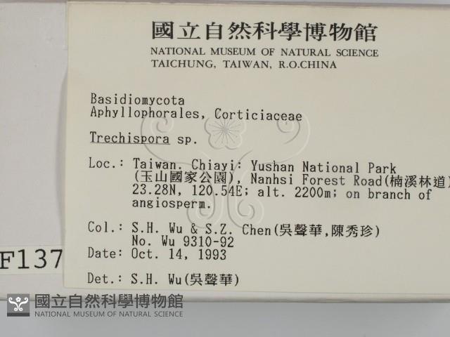 粗糙孢菌屬藏品圖，第2張