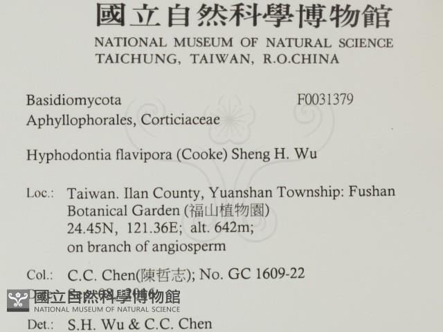 登錄號:F0031379藏品圖，第2張