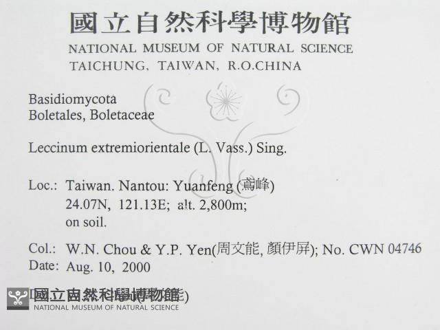 登錄號:F0014379藏品圖，第2張