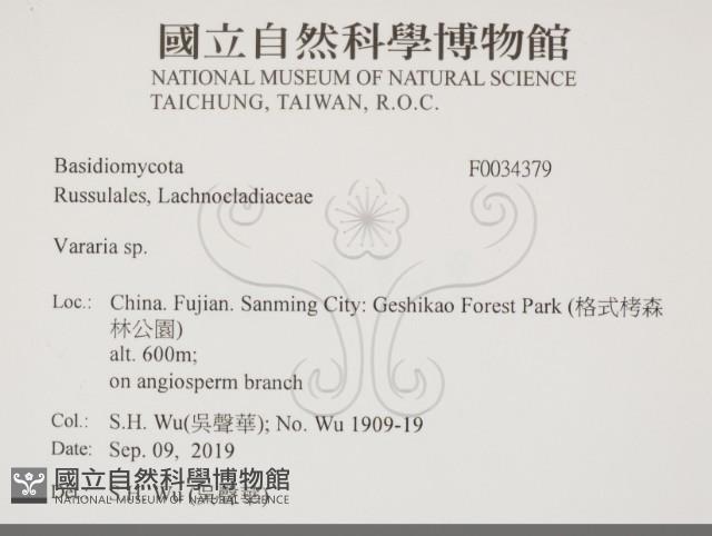 登錄號:F0034379藏品圖，第2張