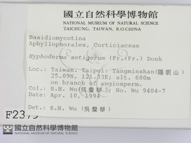 剛毛絲皮菌藏品圖，第2張