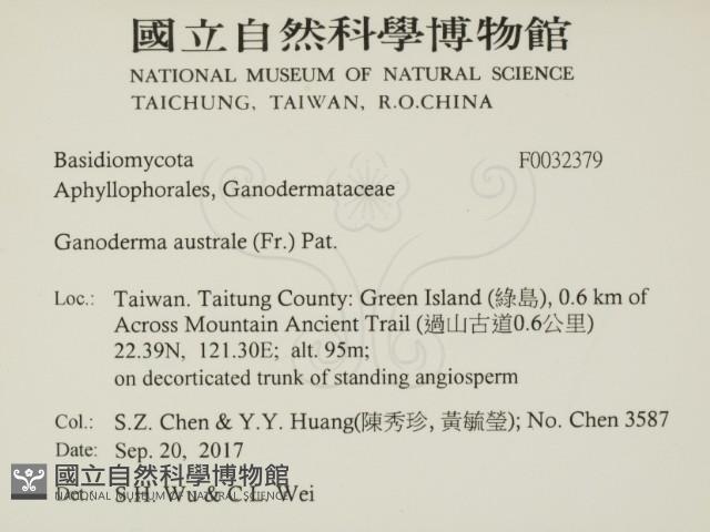 登錄號:F0032379藏品圖，第2張