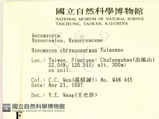 登錄號:F0007379藏品圖，第2張