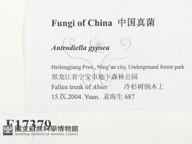 登錄號:F0017379藏品圖，第2張