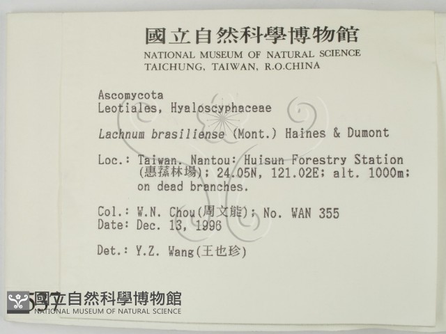登錄號:F0005379藏品圖，第2張