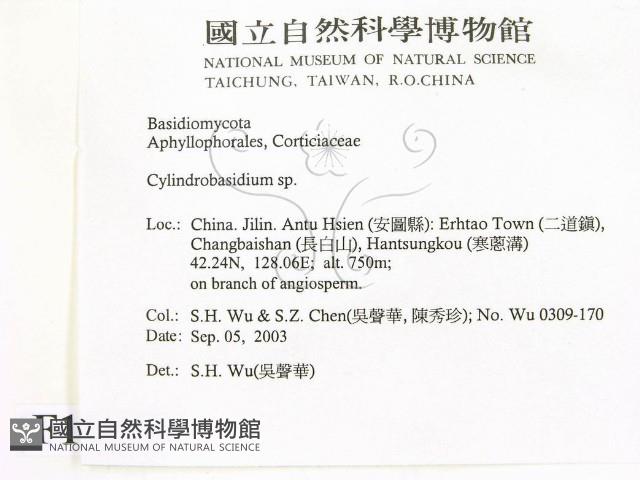 登錄號:F0015379藏品圖，第2張