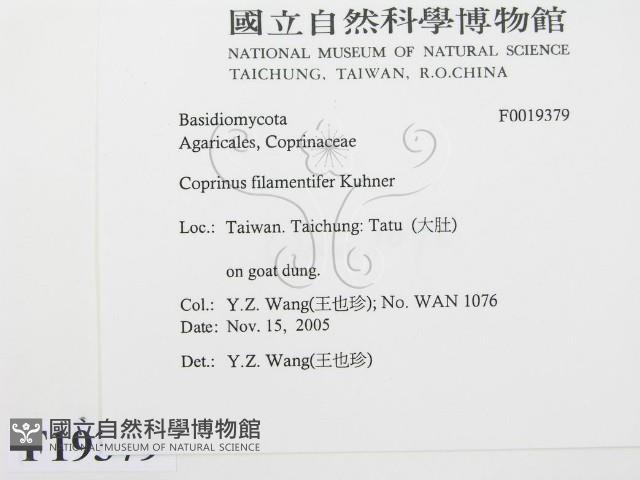 登錄號:F0019379藏品圖，第2張