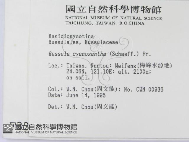 登錄號:F0003379藏品圖，第2張