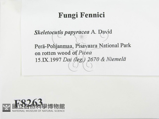 登錄號:F0008263藏品圖，第2張