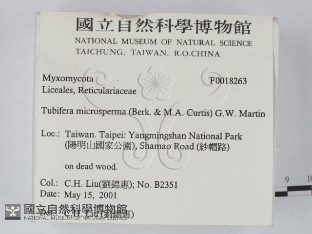 登錄號:F0018263藏品圖，第2張