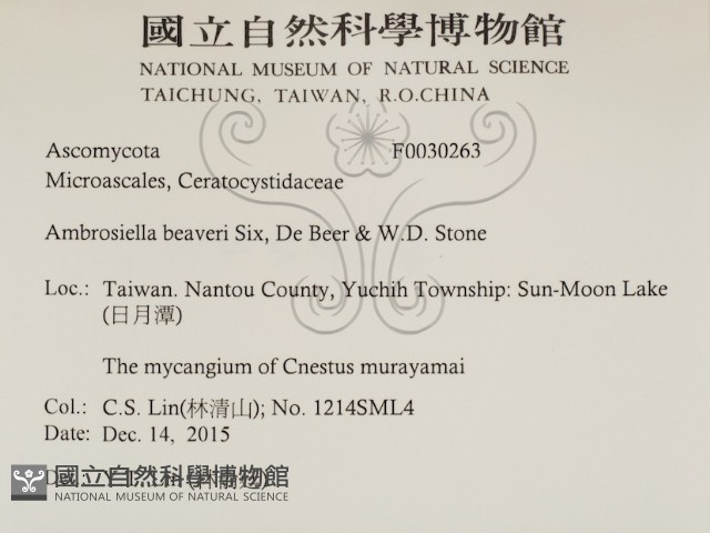 登錄號:F0030263藏品圖，第2張