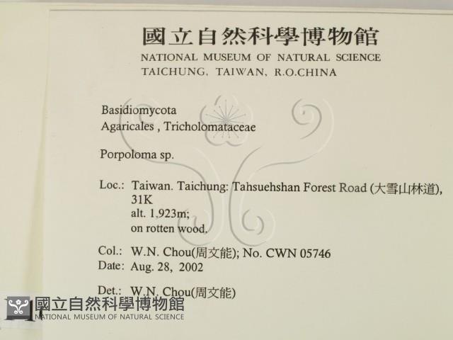 登錄號:F0016263藏品圖，第2張