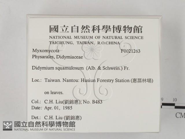 登錄號:F0021263藏品圖，第2張