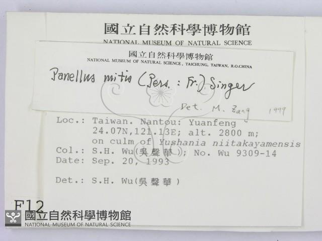 館號:F0001263藏品圖，第2張