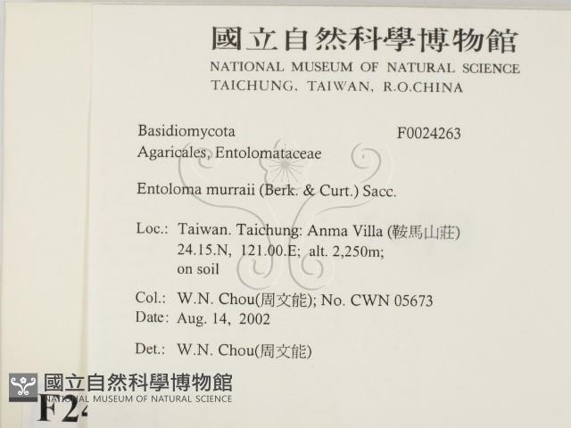 登錄號:F0024263藏品圖，第2張