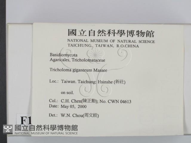 登錄號:F0014263藏品圖，第2張