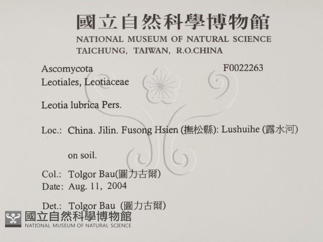 登錄號:F0022263藏品圖，第2張