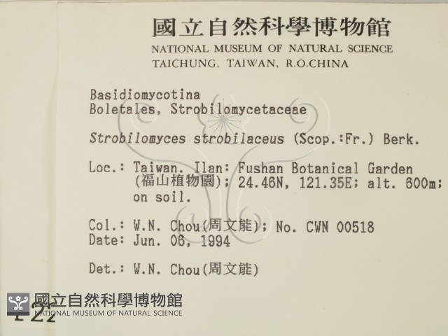 登錄號:F0002263藏品圖，第2張