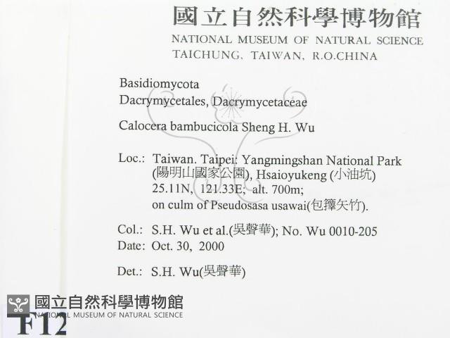 登錄號:F0012263藏品圖，第2張