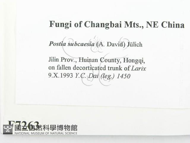 登錄號:F0007263藏品圖，第2張