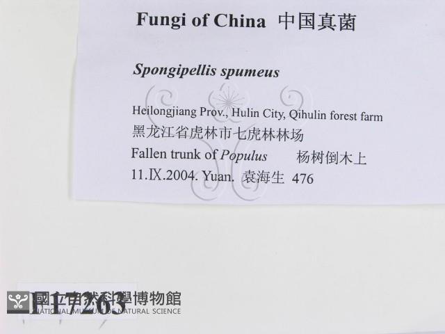 登錄號:F0017263藏品圖，第2張