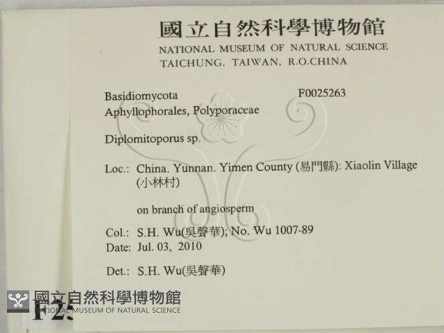 登錄號:F0025263藏品圖，第2張