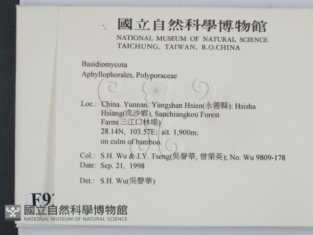 登錄號:F0009263藏品圖，第2張