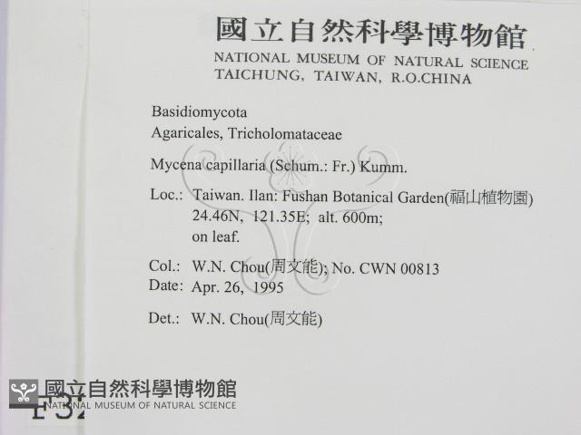 登錄號:F0003263藏品圖，第2張