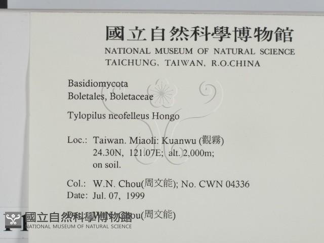 登錄號:F0013263藏品圖，第2張