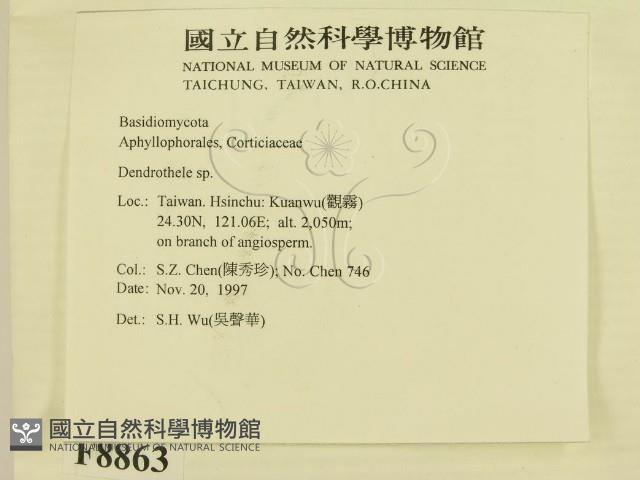 Accession Number:F0008863 Collection Image, Figure 2, Total 2 Figures