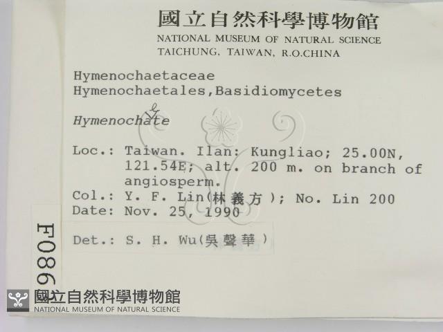 刺革菌屬藏品圖，第2張