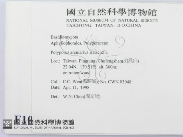 登錄號:F0010863藏品圖，第2張