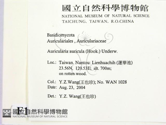 登錄號:F0016863藏品圖，第2張