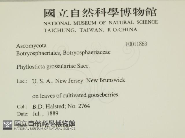 登錄號:F0011863藏品圖，第2張