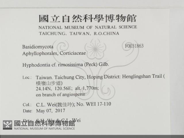 登錄號:F0031863藏品圖，第2張