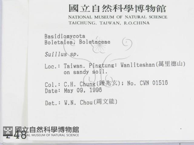登錄號:F0004863藏品圖，第2張