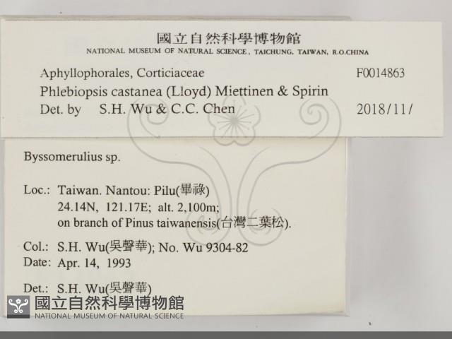 登錄號:F0014863藏品圖，第2張