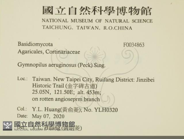 登錄號:F0034863藏品圖，第2張