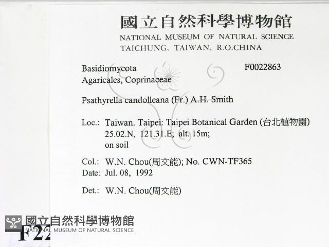 登錄號:F0022863藏品圖，第2張